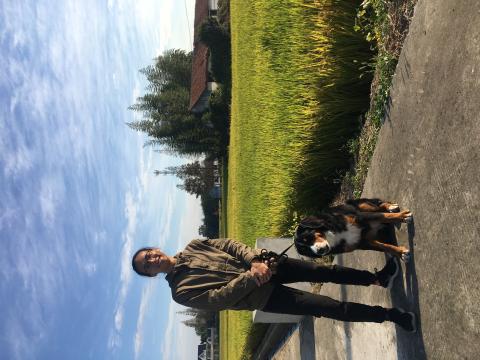 正向馴狗師-唐榮基 - 大型伯恩山犬隨行訓練（系統不支援調整圖片方向，請見諒）