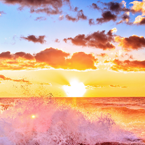 提供寫文章服務的專家小愛