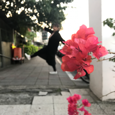 提供印章盒服務的專家Thinking MoDe