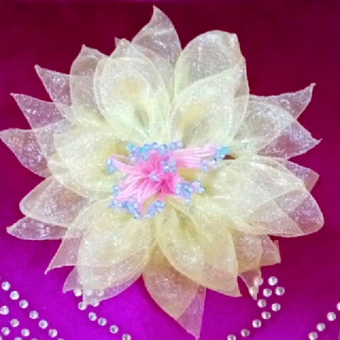 貓與玫瑰 - 花精諮詢，情緒療癒
我的手作花
精靈之花