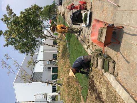 立可白潔淨事業有限公司 - 園藝造景及台北草鋪設