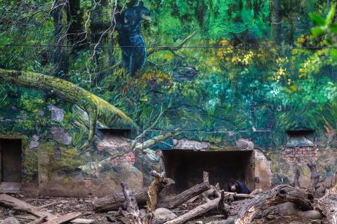 荒島有鹿影像工作室 - 專題攝影『劇場』
動物們在人造場域中，是否真獲得歸屬？我們自私的創建自己的立場，合理化一種禁錮行為，天真的以為複製了動物們的歸屬，卻也不過只是一個人造劇場，這是人習慣用至上的觀點看待其他物種的證據。
2015 全國美展攝影類金牌 於國立台灣美術館展出