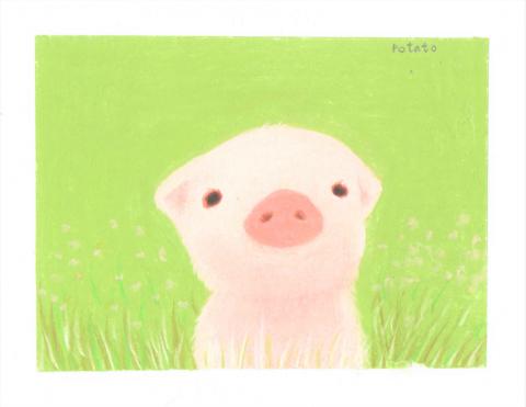 城惠琪 - 小豬插圖