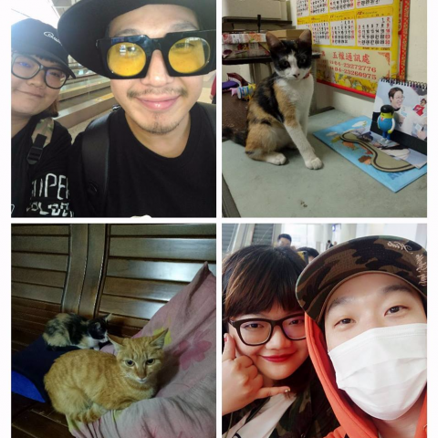 提供mp4合併服務的專家專業經營粉專 文書處理達人 網購代購 