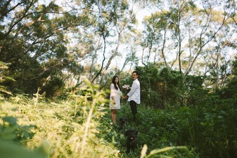 卡茲影像工作室 - 