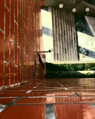 Troubadour 吟遊詩人 - 