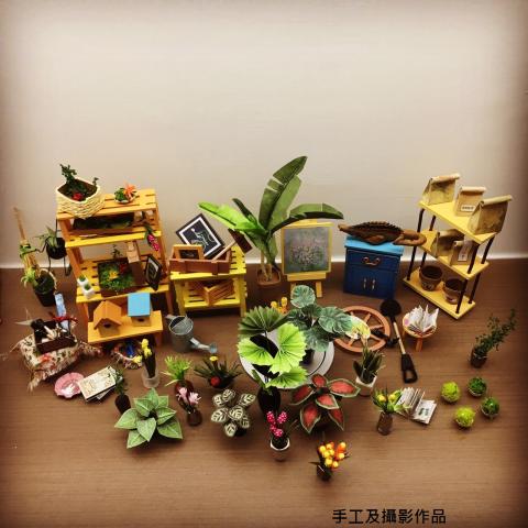 林小姐 - 純手作迷你屋植物盆栽