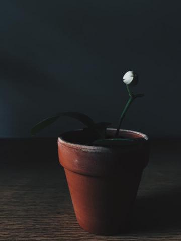 張雅閔 - 商品攝影