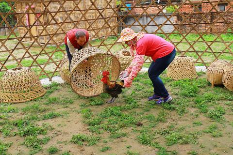 個人工作室 - 攝影作品:創作導拍