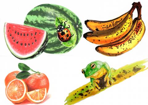 自由設計Terry - 麥克筆手繪手提袋設計