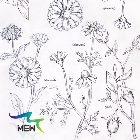 MEW 妙設計 - 【手工皂包裝紙插畫設計】
1.我們將把您所提供或需要的風格、想法、形式繪製成插畫。
2.工作天數視情況而定(如：數量較多、難易度)。

線上作品集：goo.gl/StqHHA