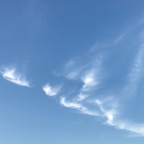 紅茶睡衣工作室