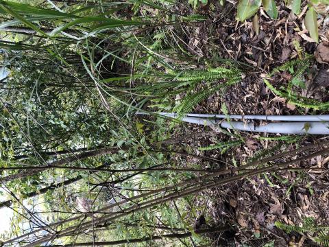 森田弱電通信工程 - 山區配管路