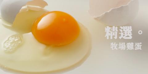 IMARKETING / Addam ED - 修圖/banner 設計