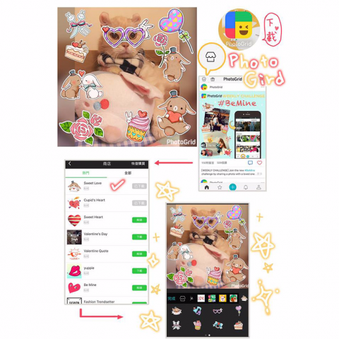 DORMOUSE眠 - photogird貼圖繪製案