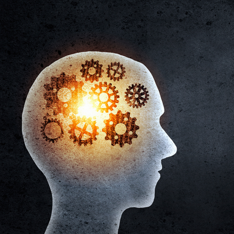 提供商業模式服務的專家馮淇南