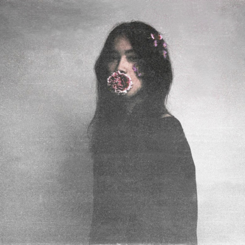 Seed - 拍攝人物肖像專題