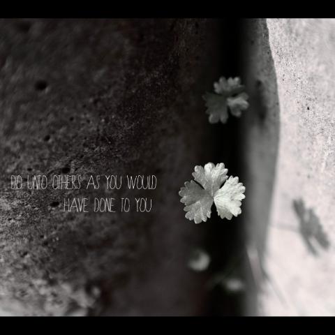 youren Chen - 小品