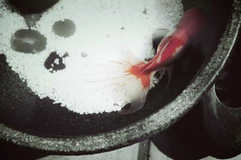 古川設計工作室 - 攝影作品&mdash;浮游