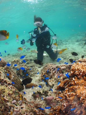 Polly企劃 - 2015年沖繩一人自由行