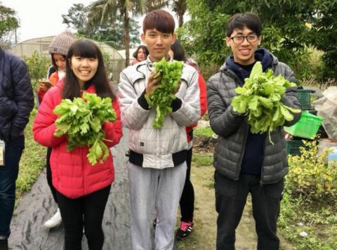 南海十三街有機農場 - 大專青年農STAY採集茼蒿