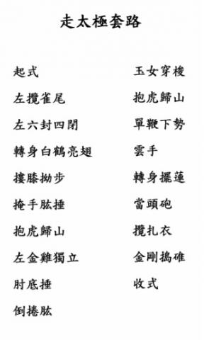 張天豪 - 【走太極】拳譜