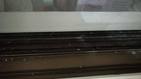潔庭家事服務 - 窗戶軌道 仔細清潔
