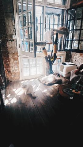 IKUXC - 英國貓咖啡拍攝