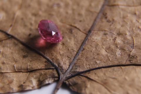 Johnson(強生)多媒體工作室 - 寶石攝影