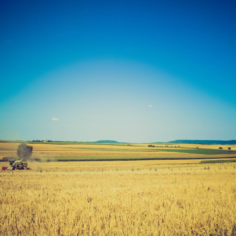 提供網頁製作服務的專家Cindy工作室