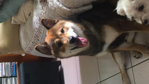 文文 - 太郎又見面啦❤️