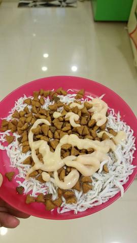 文文 - 寶貝們吃飯啦