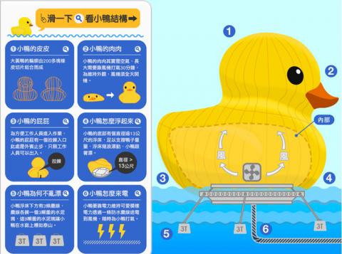 SwayCreativa - 黃色小鴨網頁資訊圖表設計