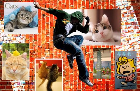 林攸穎 - 貓咪+模特兒