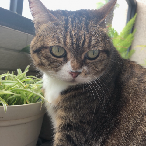 提供120服務的專家Joanna 