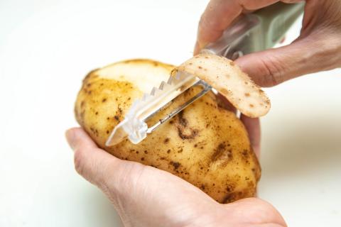 ZY  STUDIO -  ZY  STUDIO -