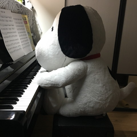 提供新光保全服務的專家Bella