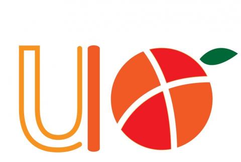 Lee&Char品牌設計工作室 - 橘子UI介面&形象化設計