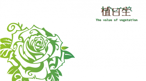 歐卡米 - 名片背面