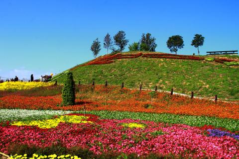 個人工作室 - 攝影作品:2016台中花壇節