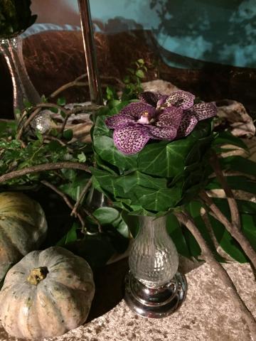 芬塞里爾設計工作坊 - 