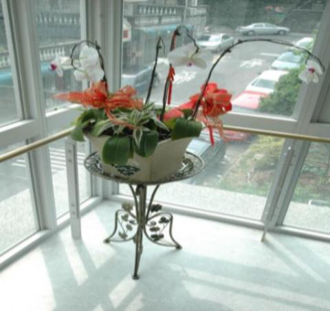 吳高樹 - 樓梯間的花卉