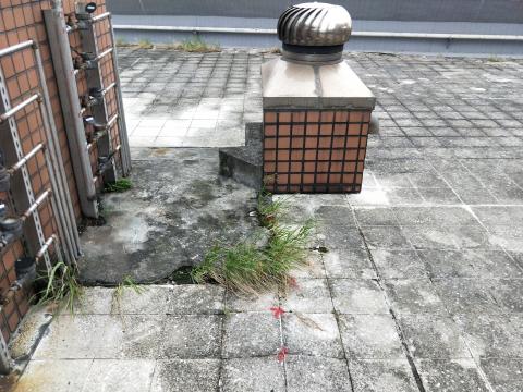 曹龍翔 - 社區頂樓 防水施工勘查 報價 