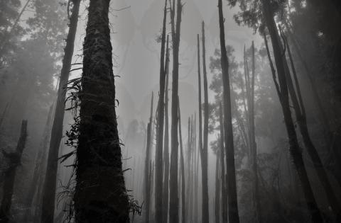 Tsai's - 風景攝影