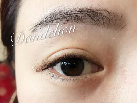 Dandelion 蒲公英時尚美學工作室 - 