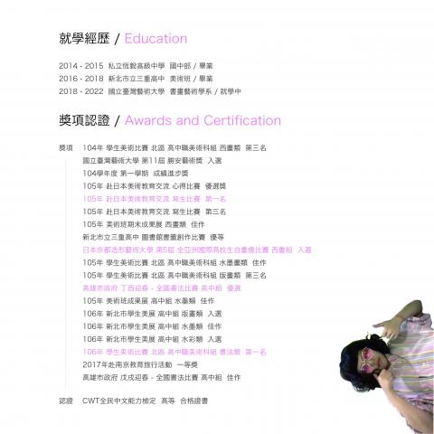 徐靖雯 - 得獎經歷