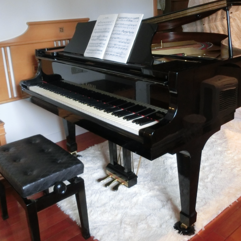 Sunny黃老師 - 上課環境 平台鋼琴室