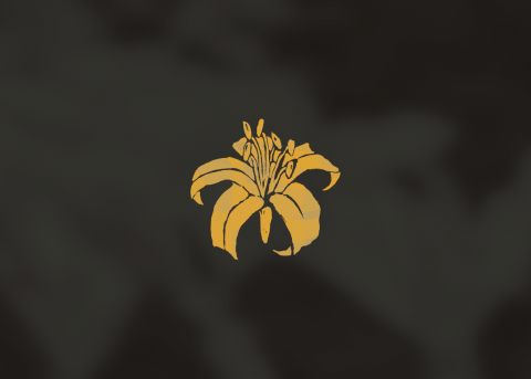 Dory - 標誌設計-太麻里金針 Dory - 標誌設計-太麻里金針