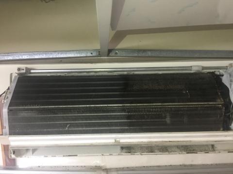 鄭文鐘 - 左右清洗對比