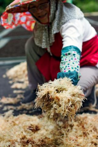 邢正康 - 小農報導攝影